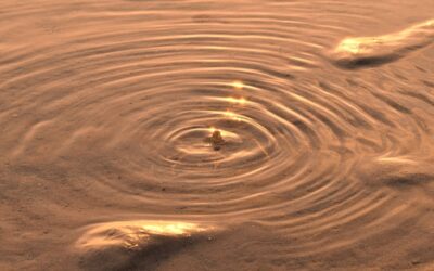 Dialoog in Verbinding